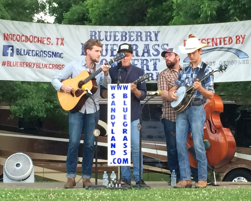 Blueberry Bluegrass Concert in the Park